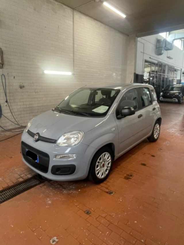 FIAT Panda Grigio pastello