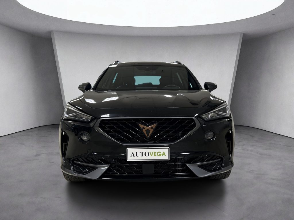 CUPRA Formentor 2.0 tdi 4drive 150cv dsg - 2
