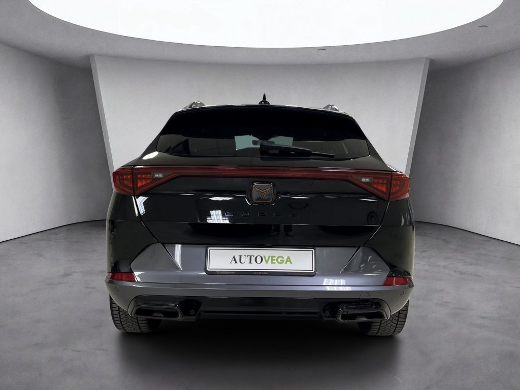 CUPRA Formentor 2.0 tdi 4drive 150cv dsg - 5