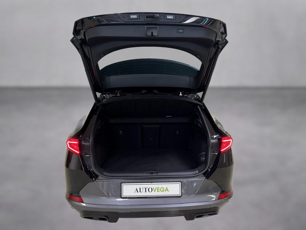 CUPRA Formentor 2.0 tdi 4drive 150cv dsg - 17