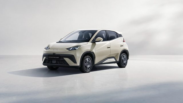 BYD Dolphin Vari colori metallizzato