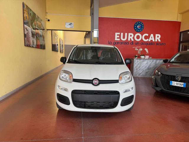 FIAT Pandina Bianco pastello