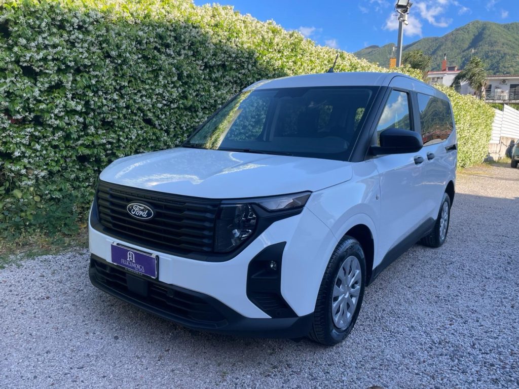 FORD Transit Courier 1.5 EcoBlue 100CV Van DC Trend - 4