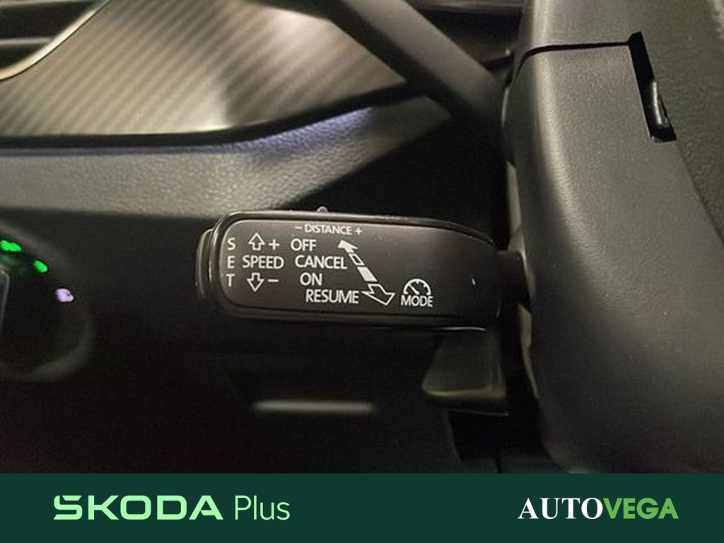 SKODA Kamiq 1.0 tsi monte carlo 110cv - 17
