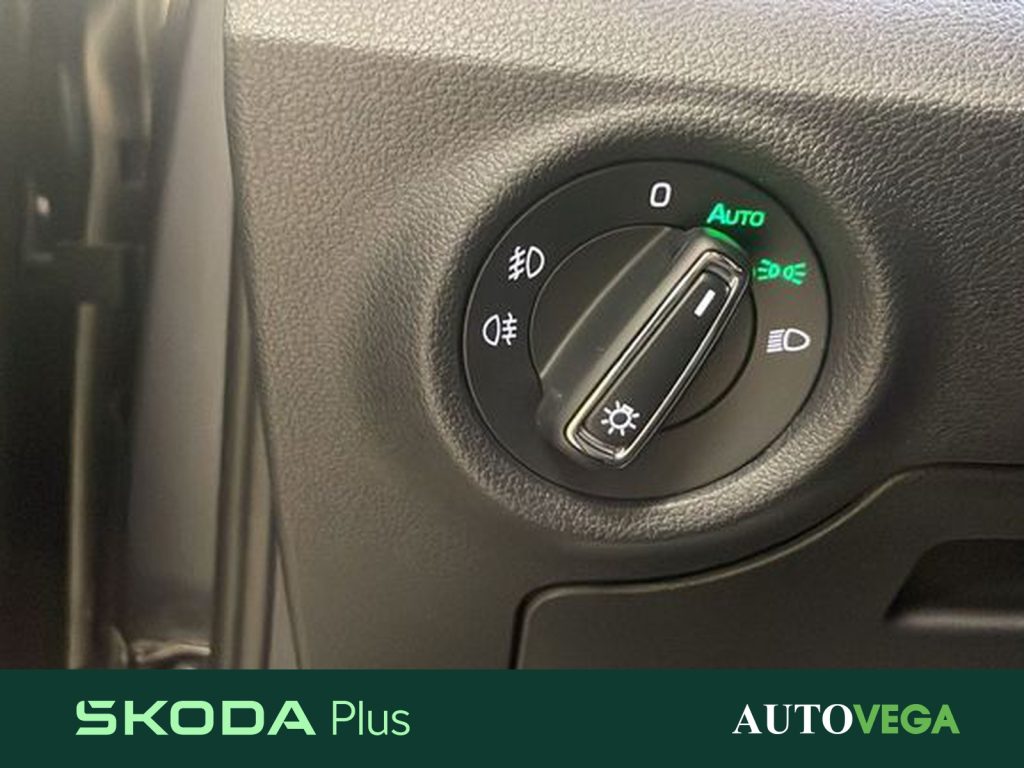 SKODA Kamiq 1.0 tsi monte carlo 110cv - 18