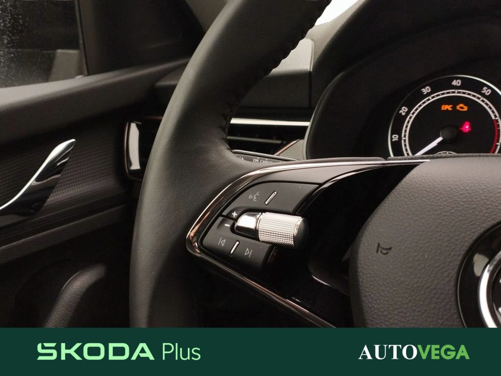 SKODA Kamiq 1.0 tsi black dots 95cv - 16