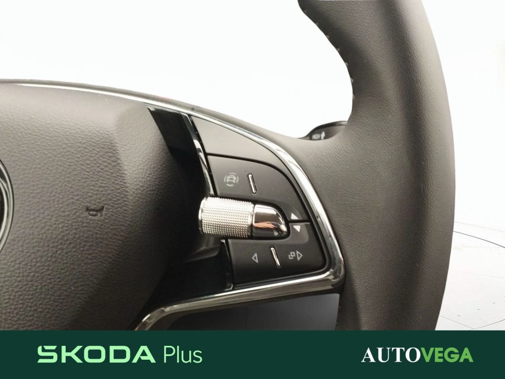 SKODA Kamiq 1.0 tsi black dots 95cv - 17