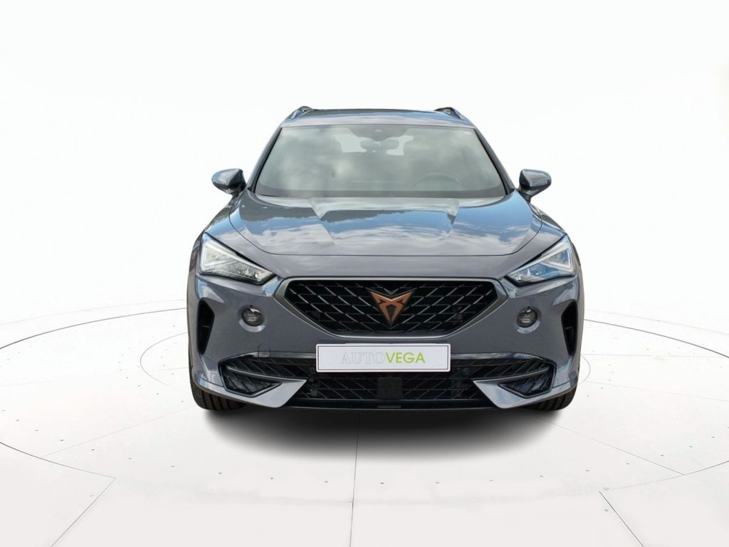 CUPRA Formentor 2.0 tsi 4drive 190cv dsg - 2