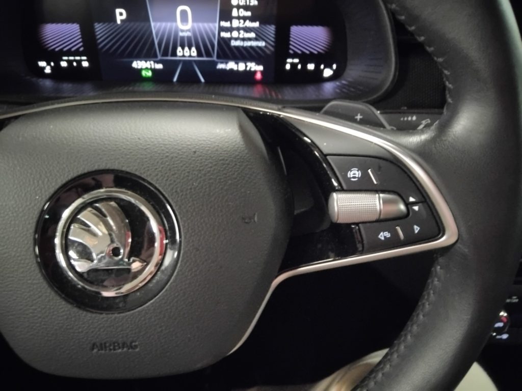 SKODA Kamiq 1.0 TSI 115 CV DSG Selection Style VIDEO 17 - 19