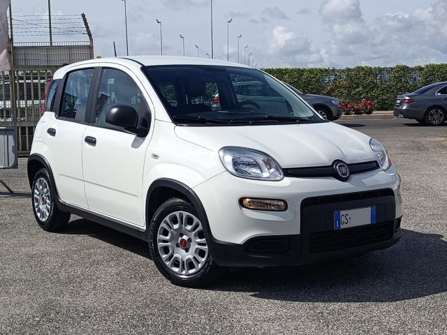 FIAT Panda Bianco pastello