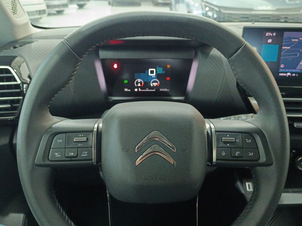 CITROEN C4 BlueHDi 110 S&S Feel Pack - 19