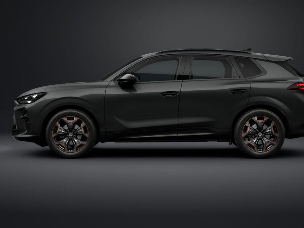 CUPRA Terramar 1.5 hybrid 150cv dsg - 2