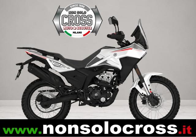 MORBIDELLI T125X Vari colori metallizzato