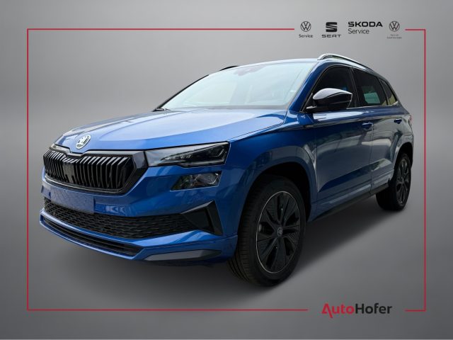 SKODA Karoq Blau metallisiert