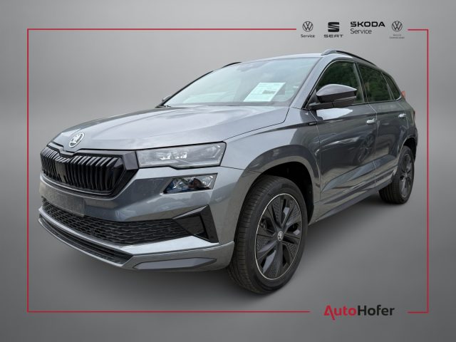 SKODA Karoq Grau metallisiert