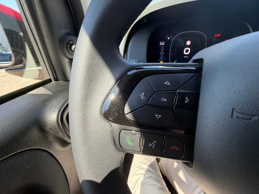 FIAT Panda 1.0 FireFly S&S Hybrid Pandina - 15
