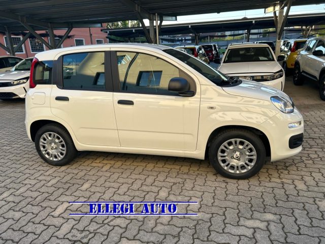 FIAT Panda Bianco extraserie pastello
