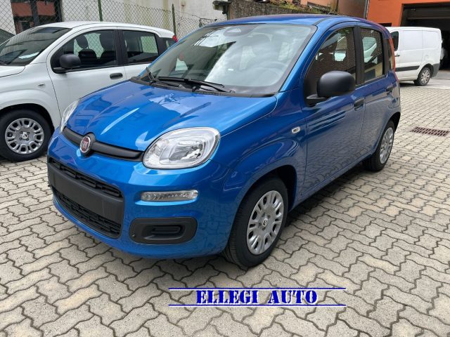FIAT Panda BLUE ITALIA metallizzato