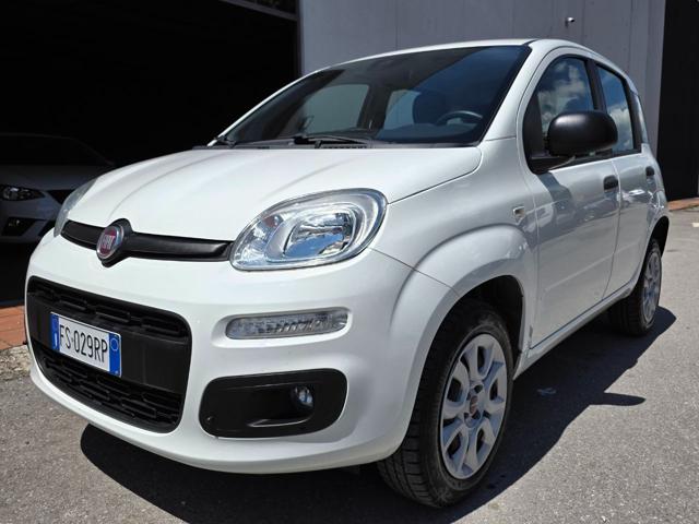 FIAT Panda Bianco metallizzato
