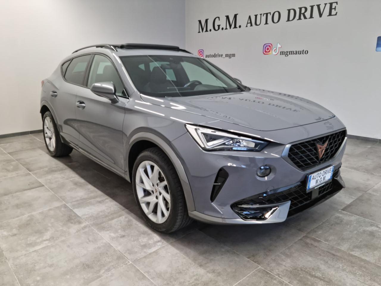 CUPRA Formentor 1.4 e-Hybrid DSG 204 Cv - 22