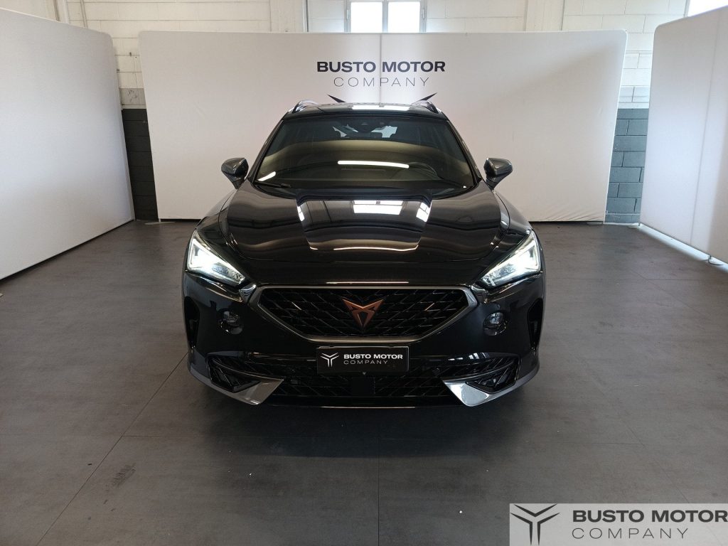 CUPRA Formentor Formentor 2.0 tdi 4drive 150cv dsg - 2