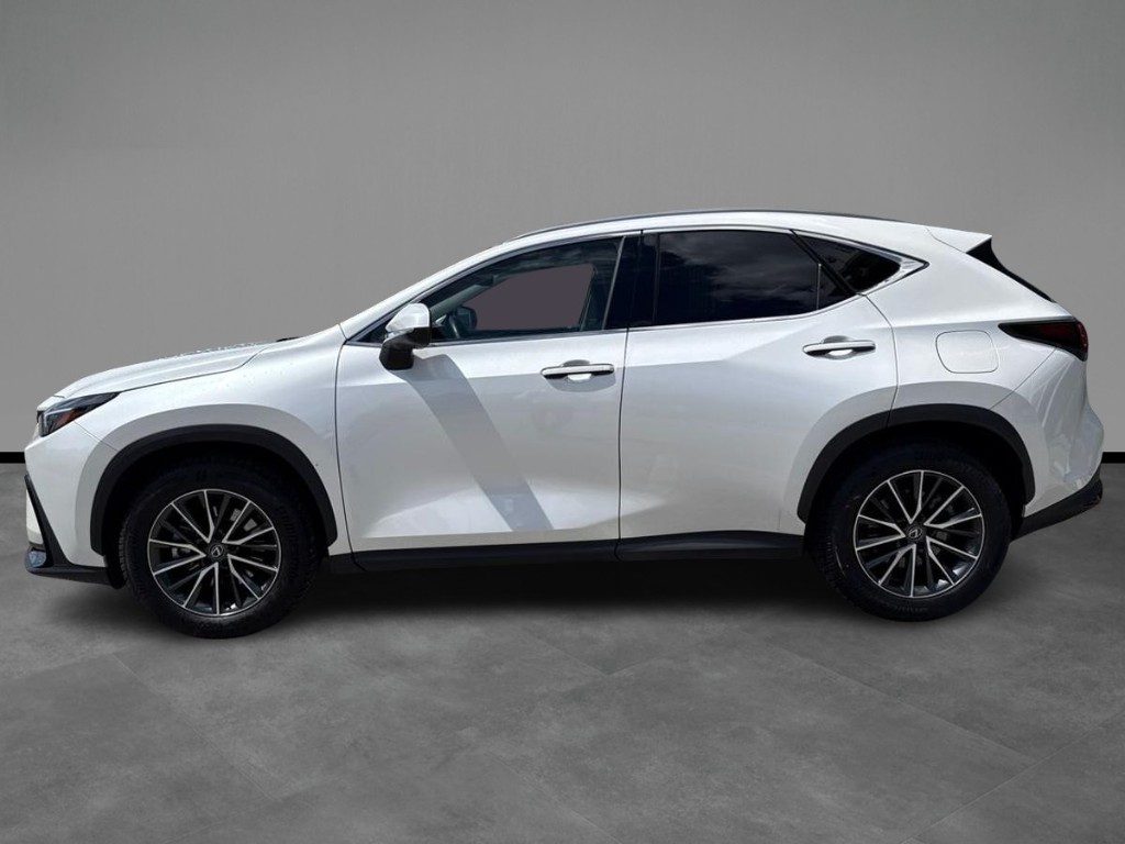 LEXUS NX 350h Hybrid 4WD Premium 244cv e-cvt - 2
