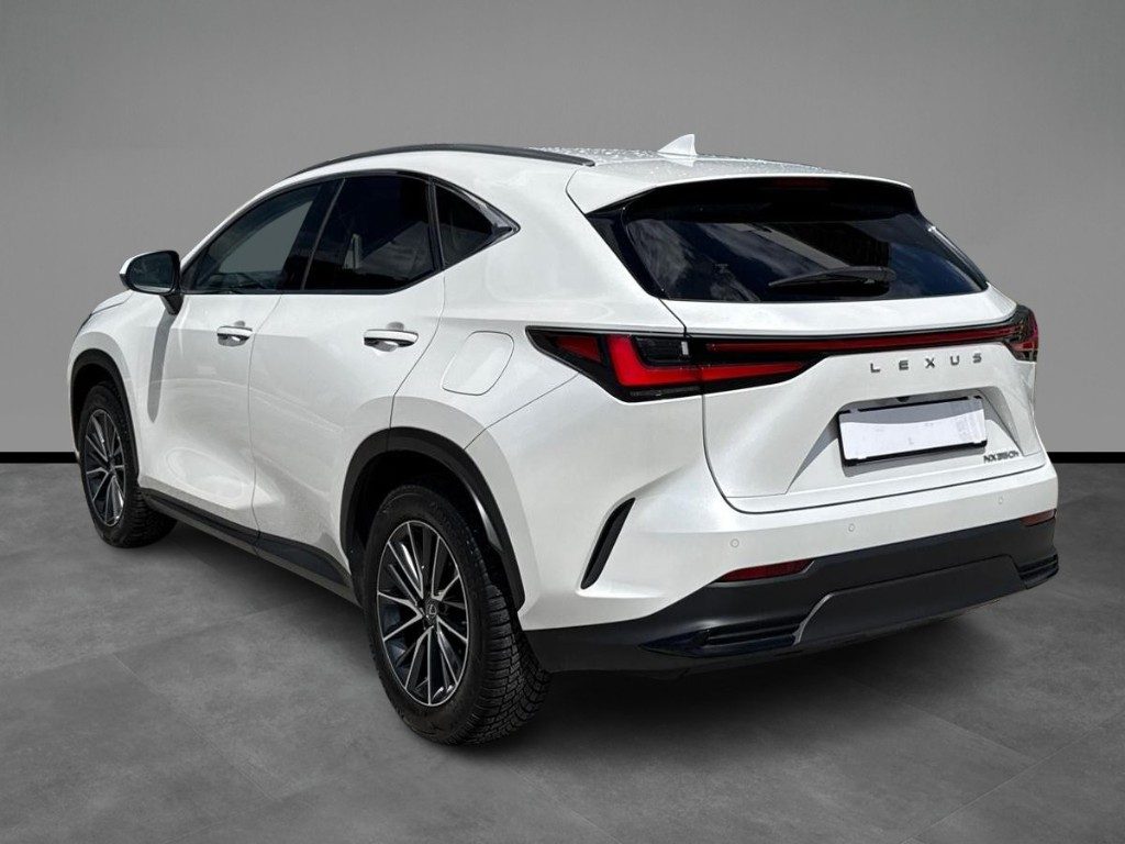 LEXUS NX 350h Hybrid 4WD Premium 244cv e-cvt - 3
