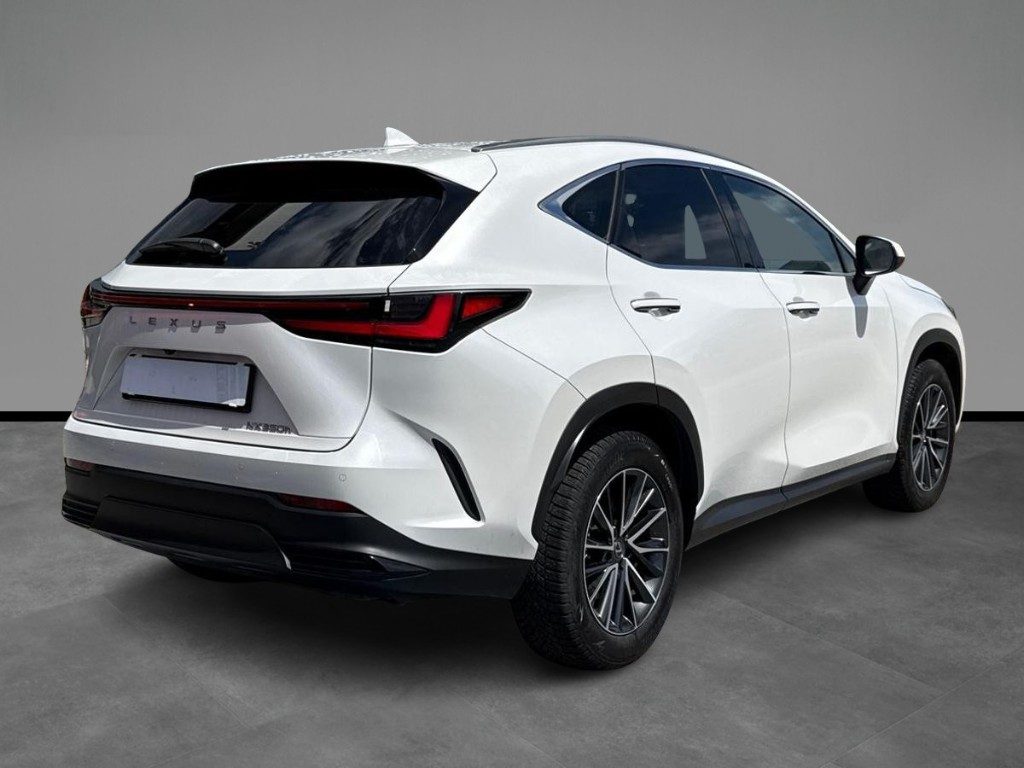 LEXUS NX 350h Hybrid 4WD Premium 244cv e-cvt - 14