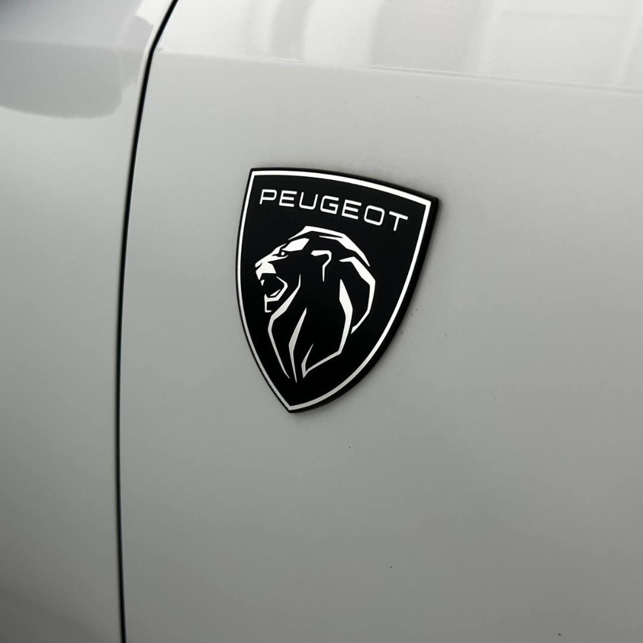 PEUGEOT e-3008 motore elettrico (73kWh) 210 CV GT - 39
