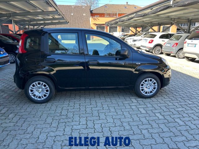 FIAT Panda Nero pastello