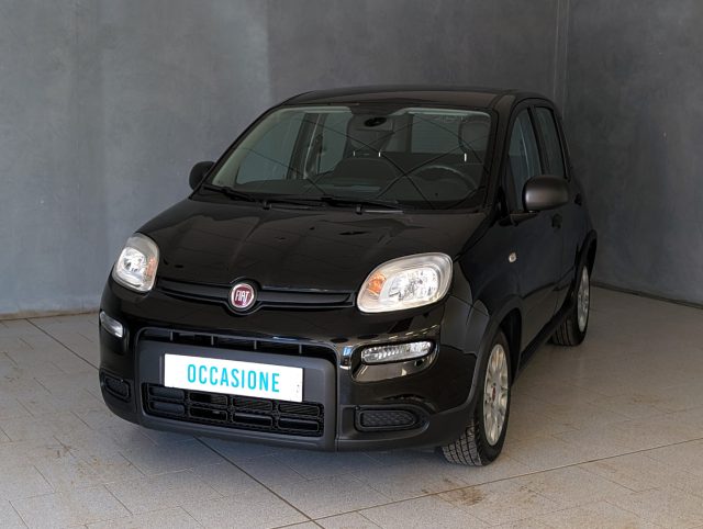 FIAT Panda Bianco pastello