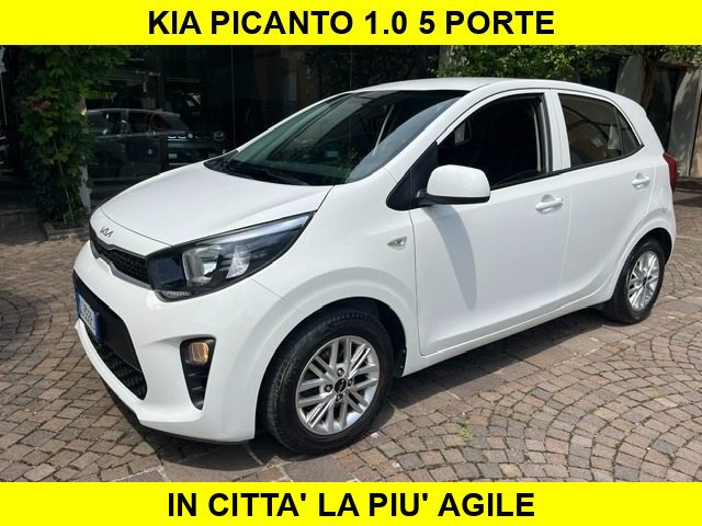 KIA Picanto Bianco pastello