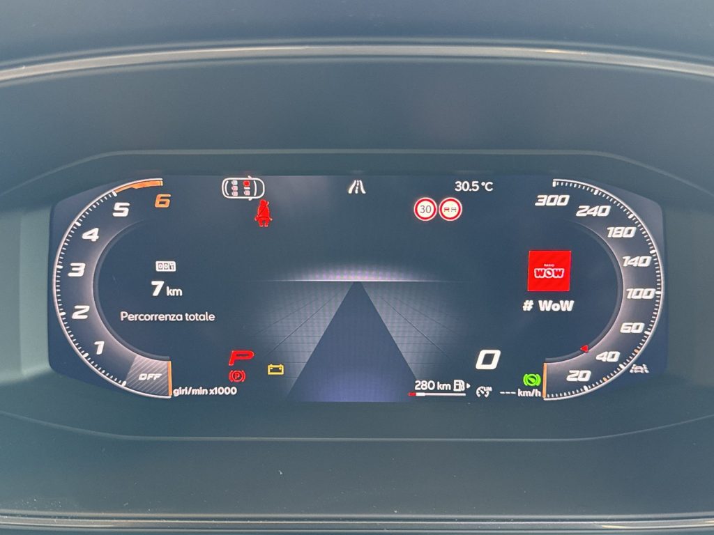 CUPRA Formentor 2.0 tdi 150cv dsg - 14