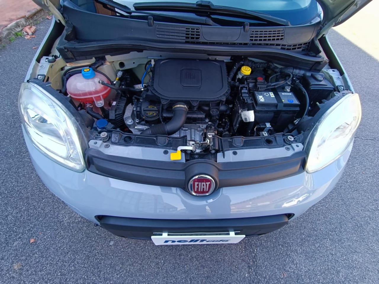 FIAT Panda 1.0 FireFly S&S Hybrid City Life - 25