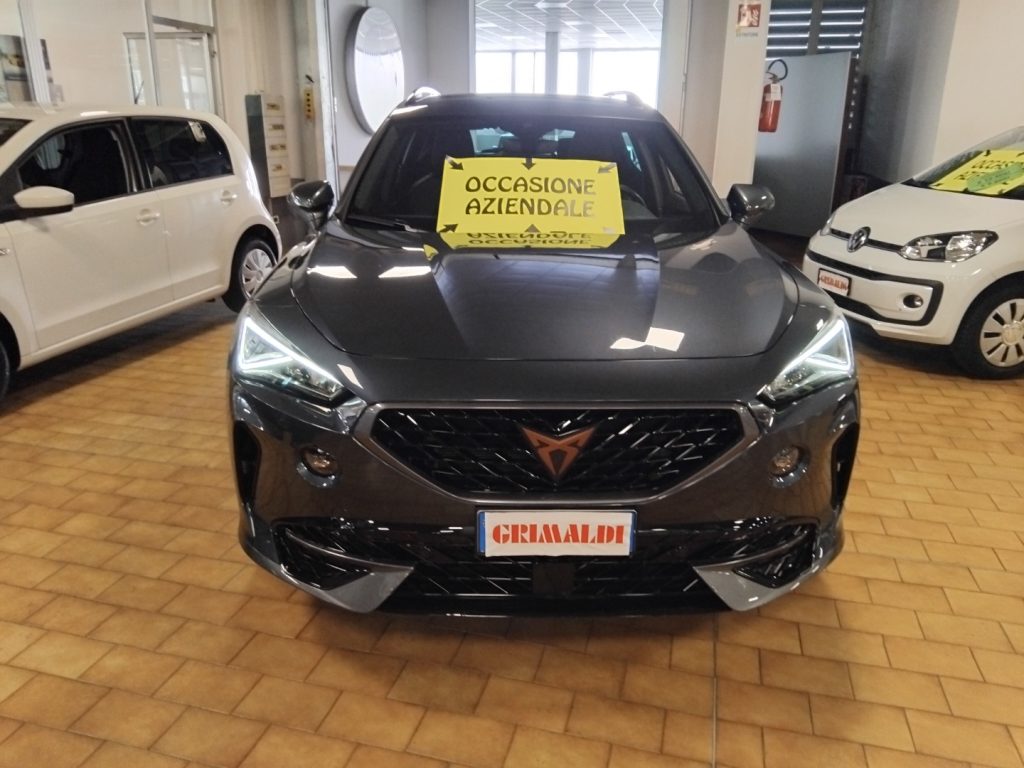 CUPRA Formentor 1.5 TSI DSG 19 VIDEO - 2