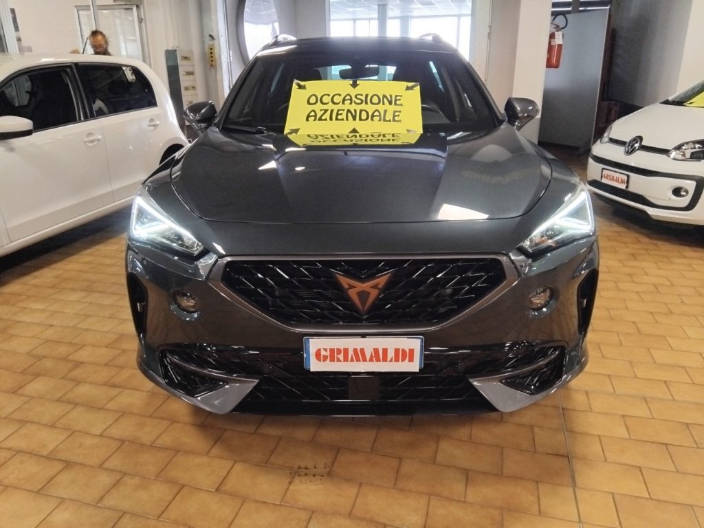 CUPRA Formentor 1.5 TSI DSG 19 VIDEO - 2