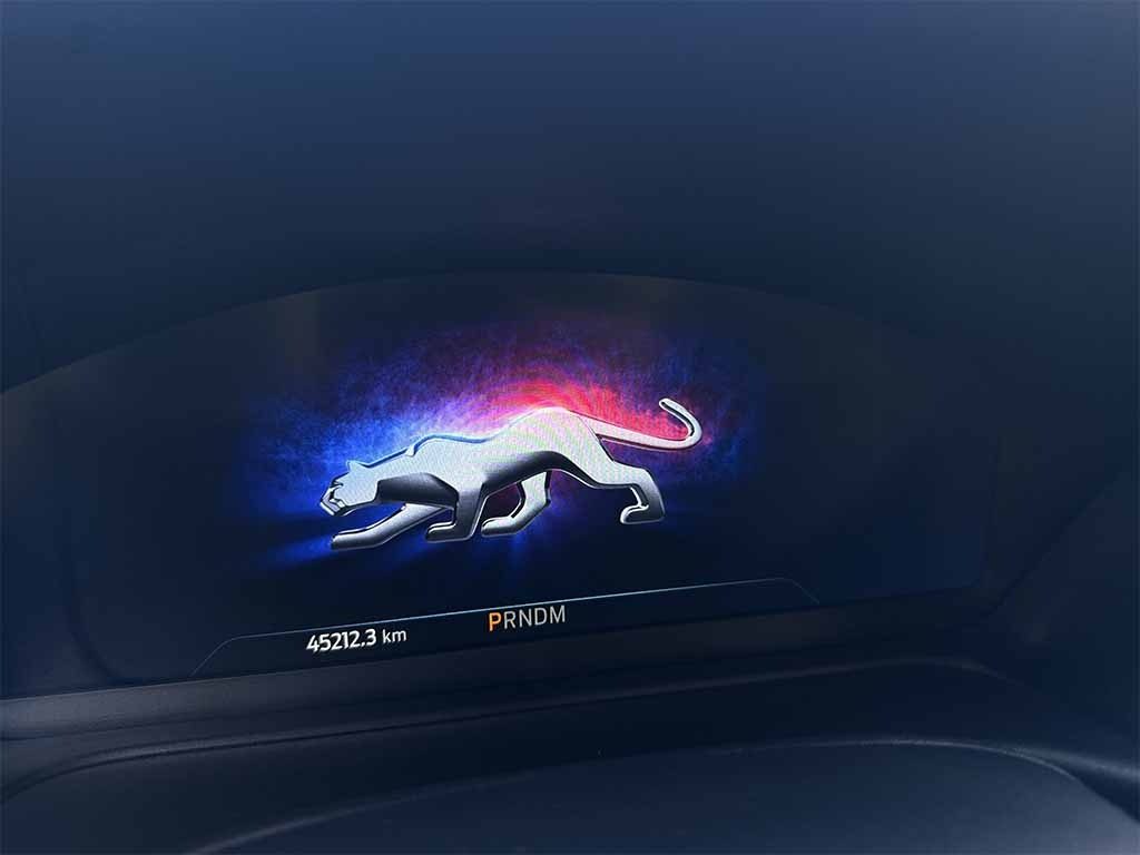FORD Puma 1.0 ecoboost h ST-Line Vignale UNICO PROPRIETARIO - 14