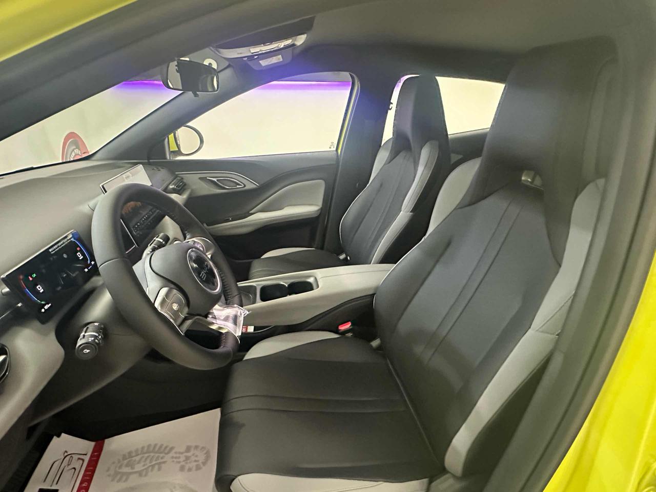 BYD Dolphin Surf 43,2 kWh Boost - 12