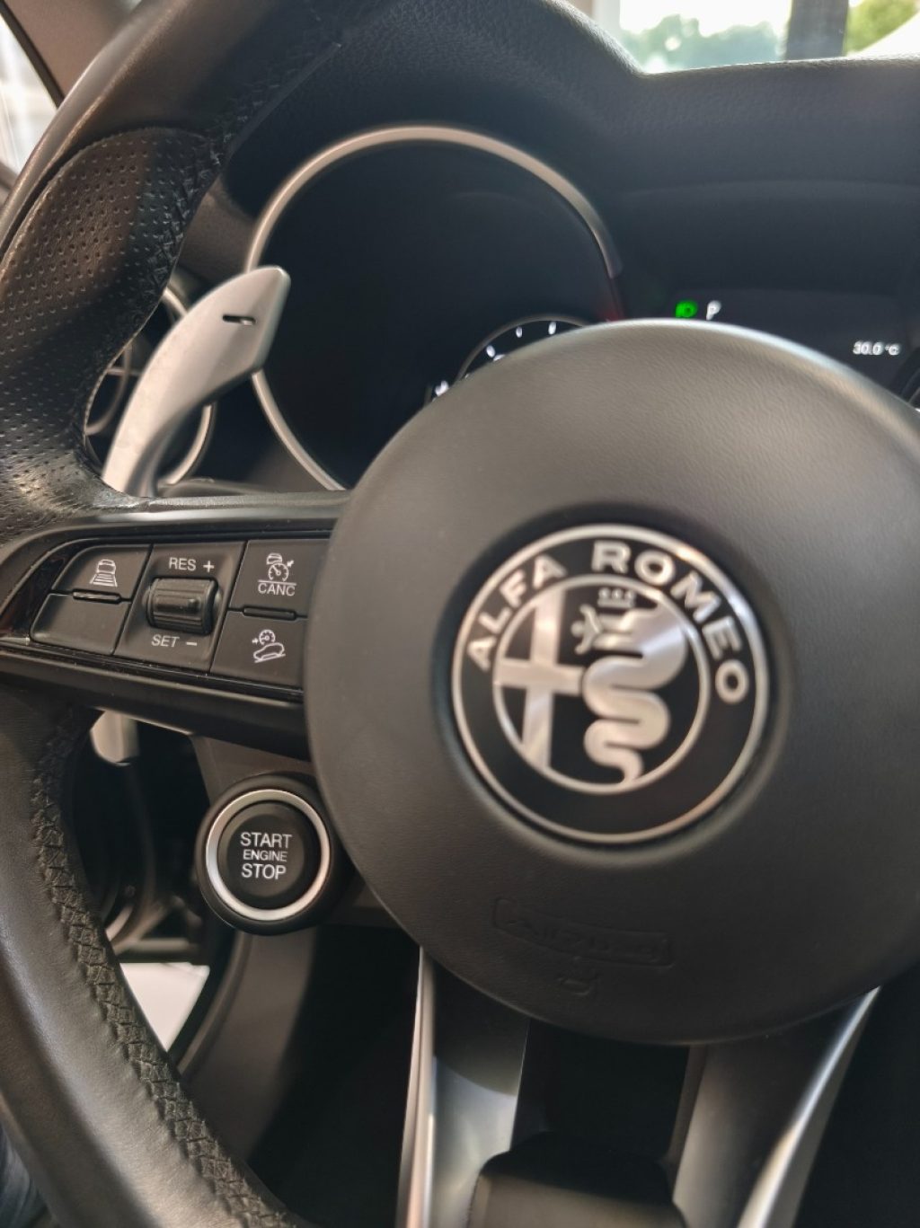 ALFA ROMEO Stelvio 2.2 d Q4 190 CV AT8 Navi Sprint - 17