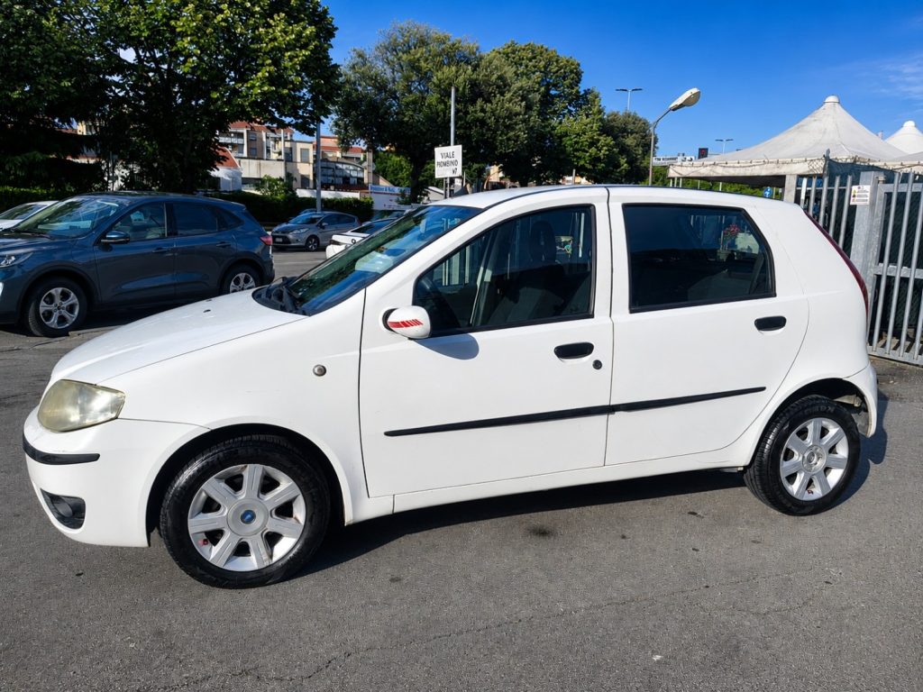 FIAT Punto 1.3 Multijet 16V 5 porte Dynamic Ok Neopatentati - 4