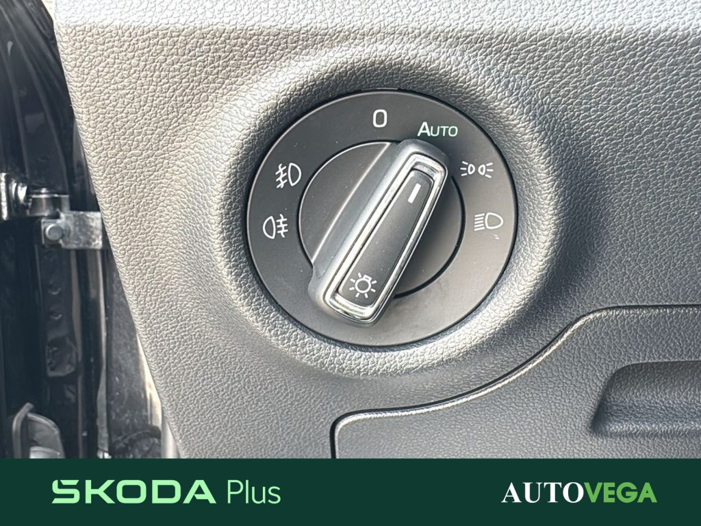 SKODA Kamiq 1.0 tsi black dots 95cv - 22
