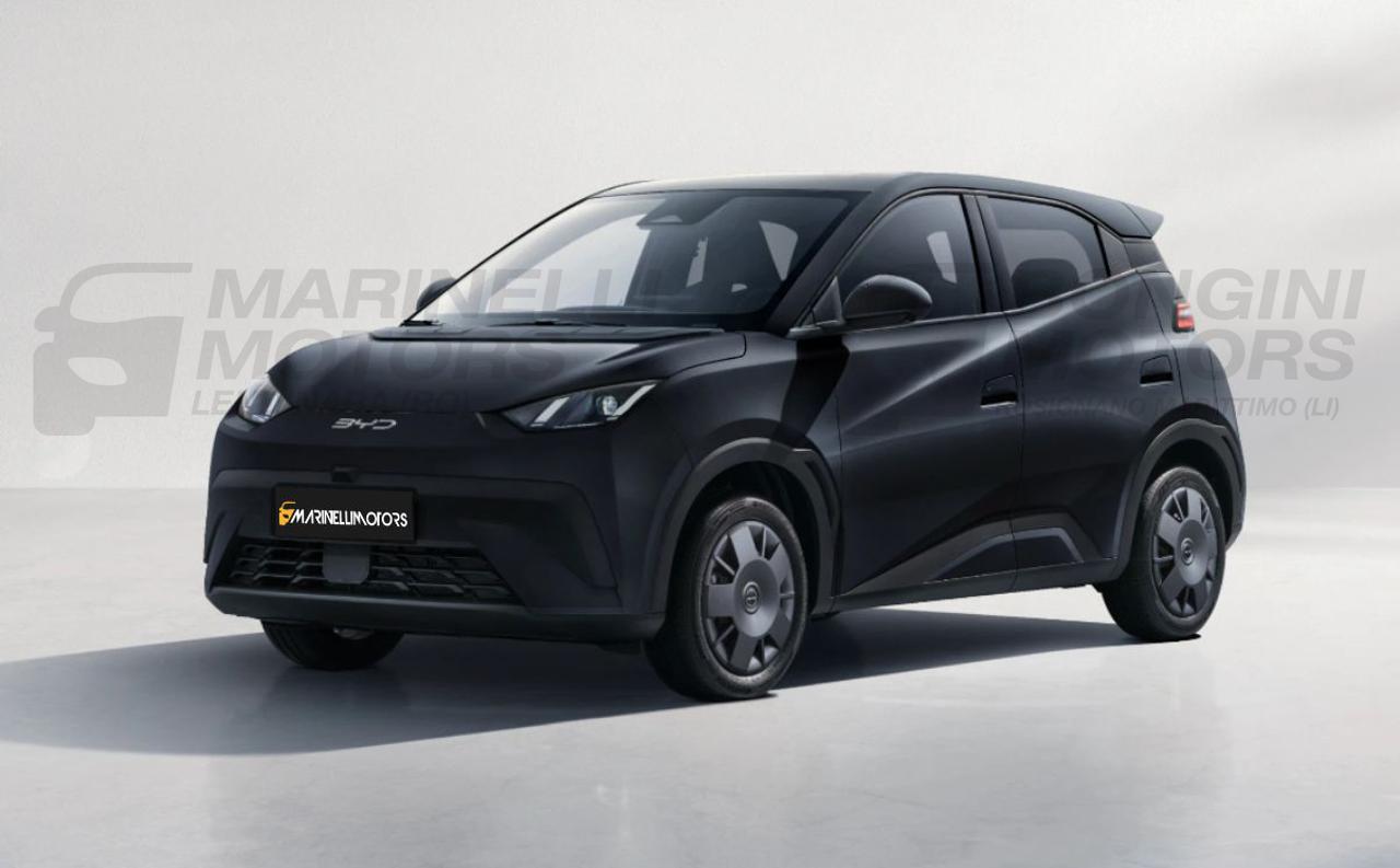 BYD Dolphin Surf ACTIVE - 19
