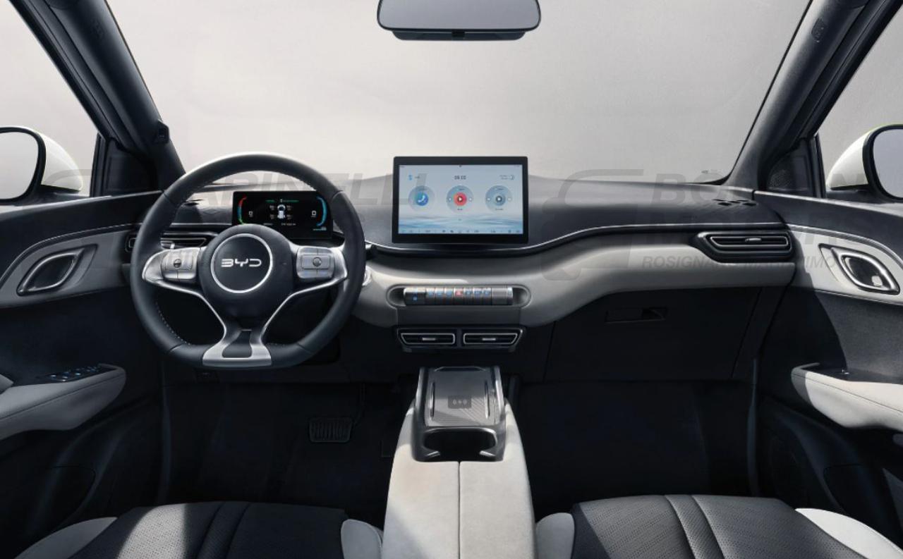 BYD Dolphin Surf ACTIVE - 18