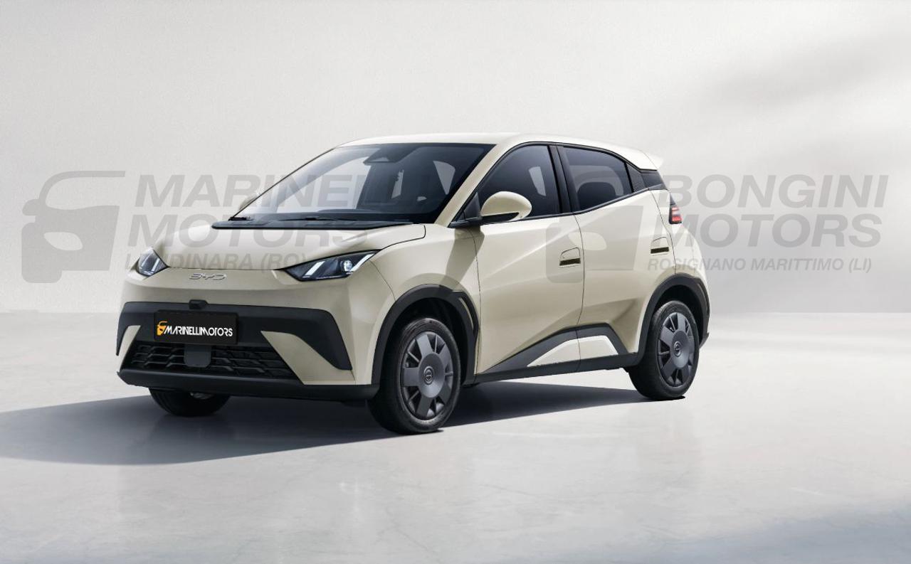 BYD Dolphin Surf ACTIVE - 11