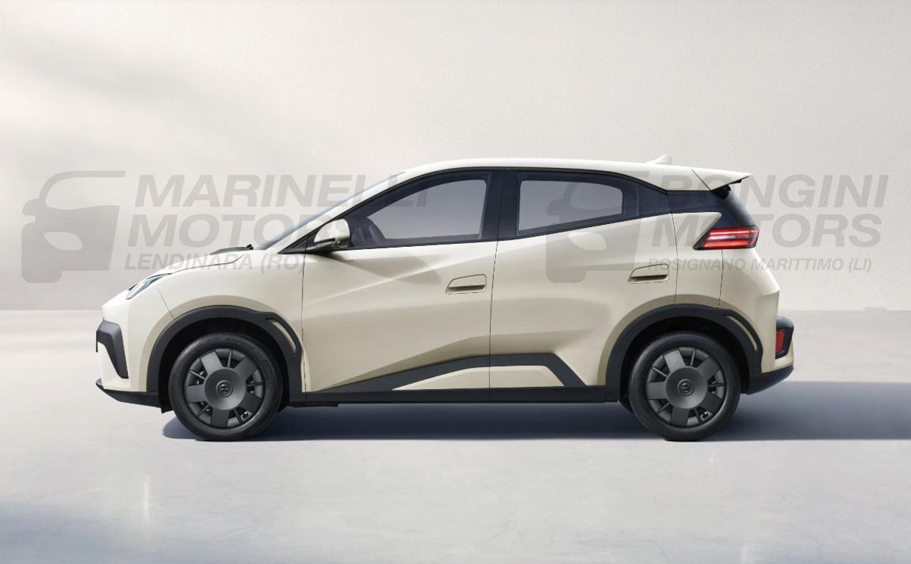 BYD Dolphin Surf ACTIVE - 13