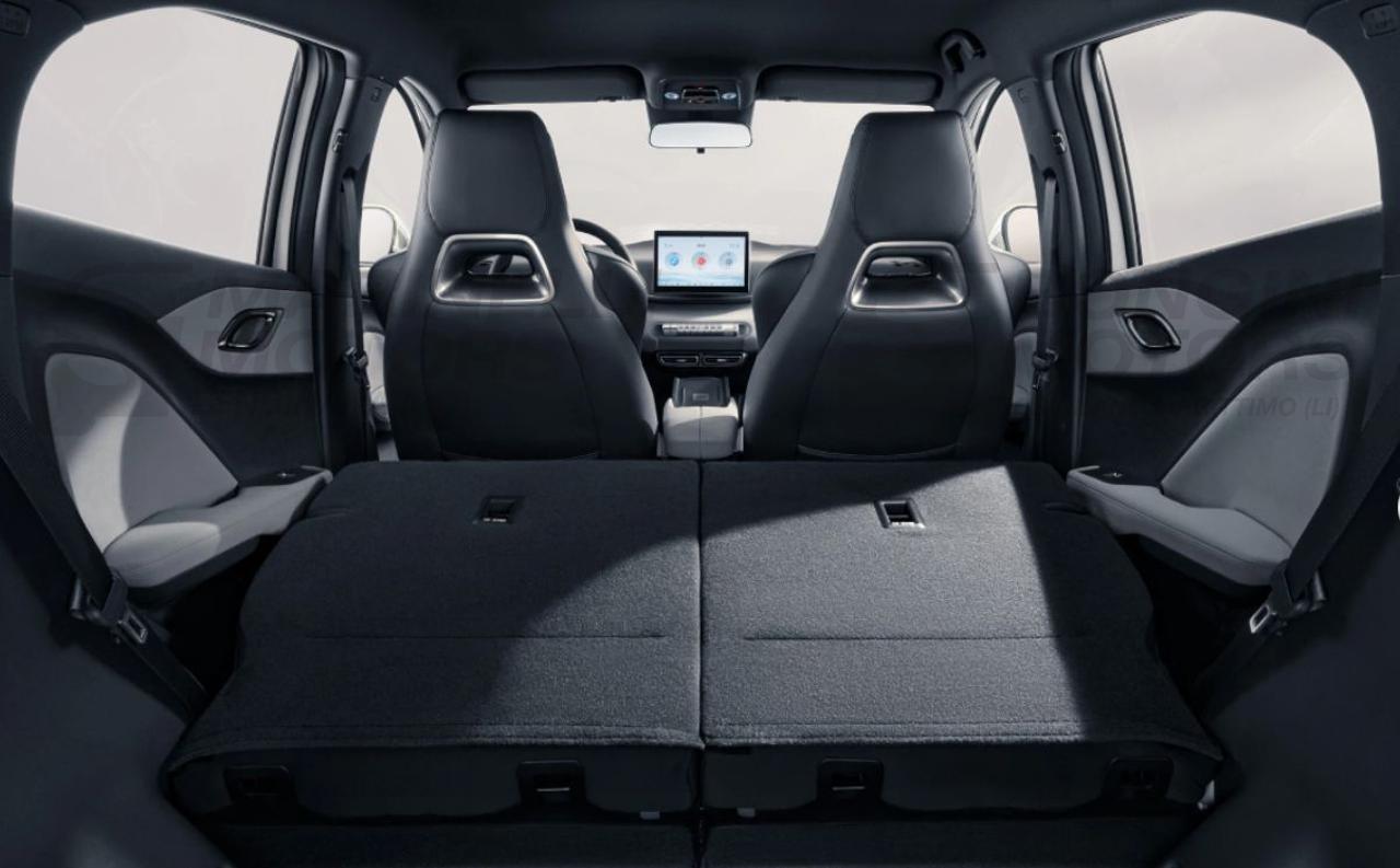 BYD Dolphin Surf ACTIVE - 10