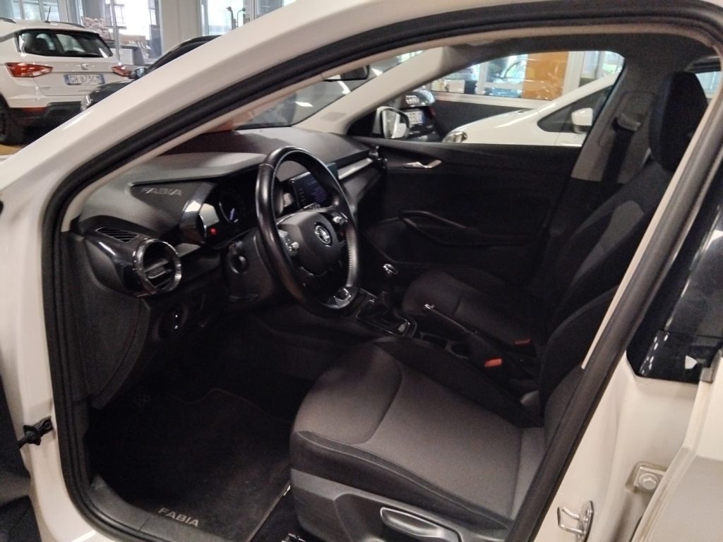 SKODA Fabia 1.0 MPI 80 CV Ambition C/GRIMALDI SPECIAL DAY - 14