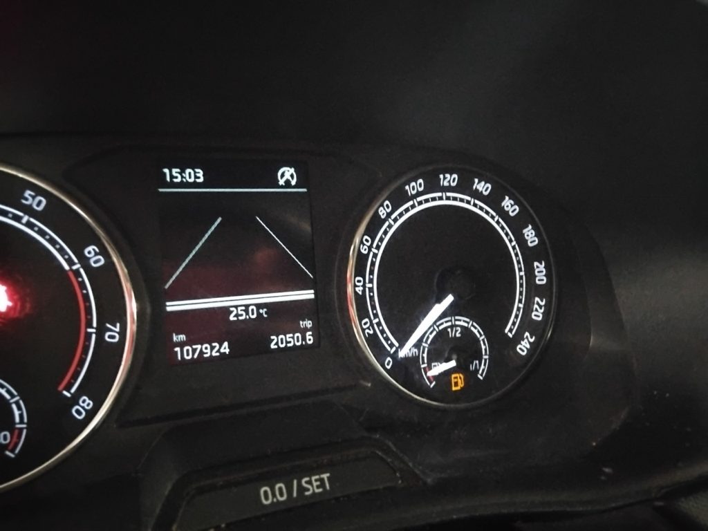 SKODA Fabia 1.0 MPI 80 CV Ambition C/GRIMALDI SPECIAL DAY - 29