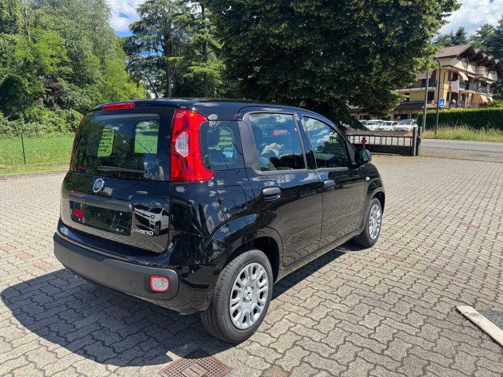 FIAT Panda 1.0 FireFly S&S Hybrid POP KM0 PROMO - 6