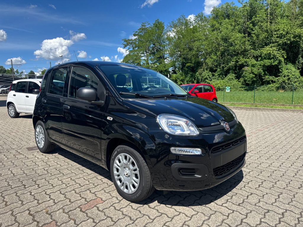 FIAT Panda 1.0 FireFly S&S Hybrid POP KM0 PROMO - 3